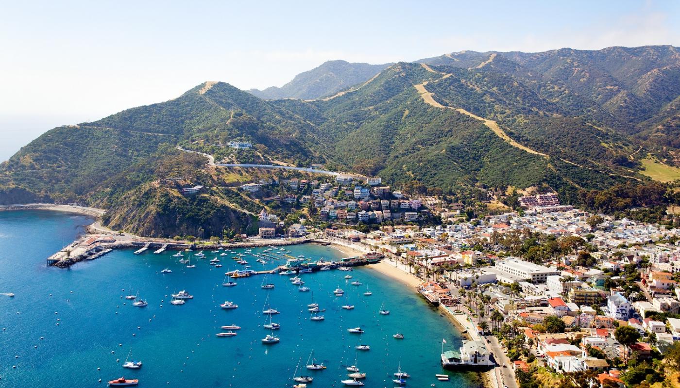Catalina Day Trips